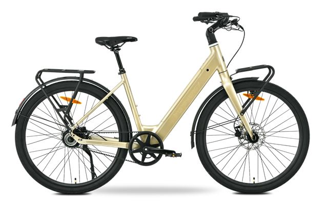 MS ENERGY eBike Zorya Plus Silver Gold-0