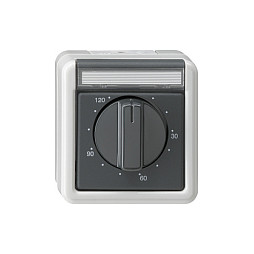 GIRA 032130 Zeitschalter 120min grau WG Aufputz