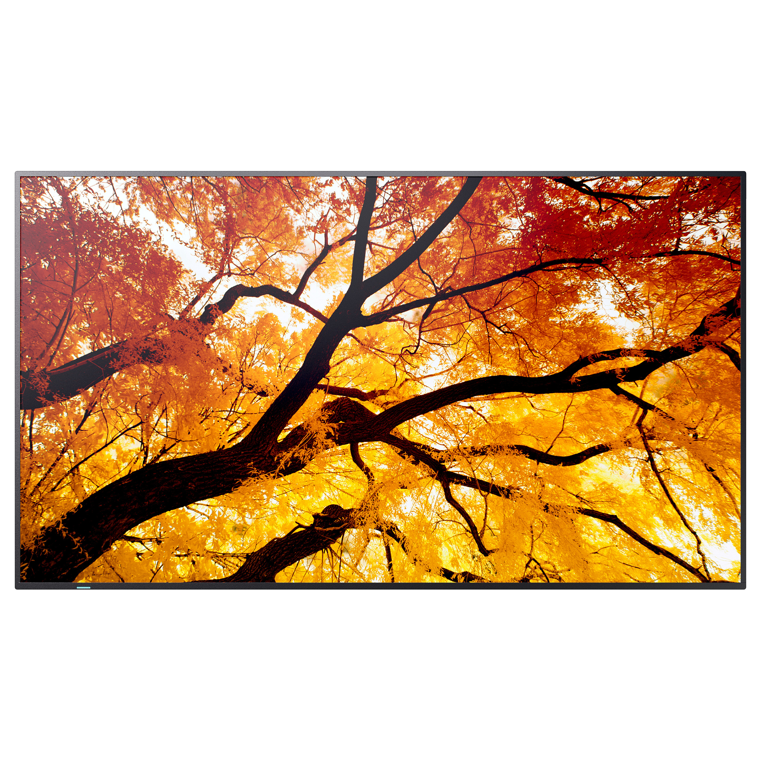 Profesionalni zaslon SHARP/NEC MultiSync M982 98" 4K UHD-0