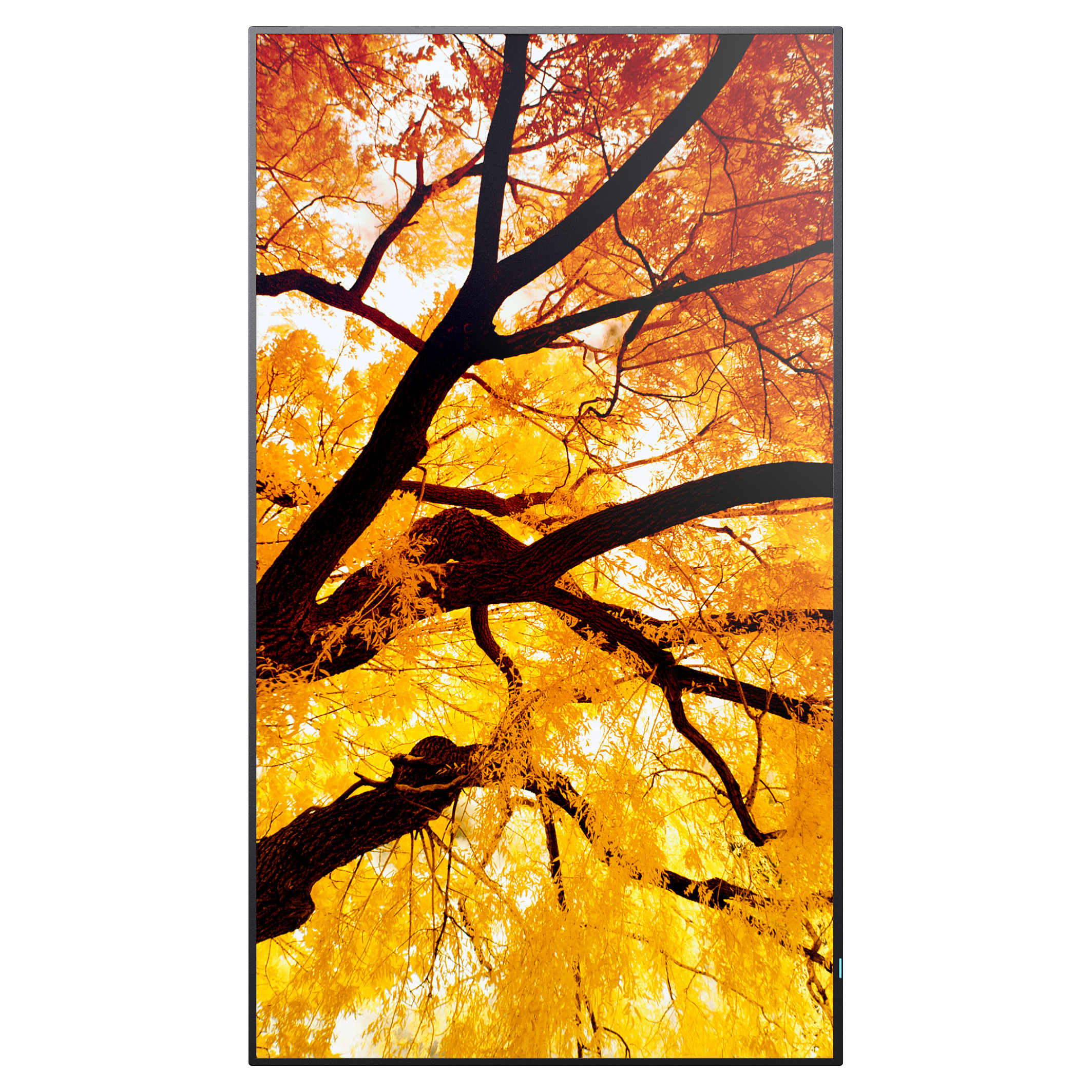 Profesionalni zaslon SHARP/NEC MultiSync M982 98" 4K UHD-1