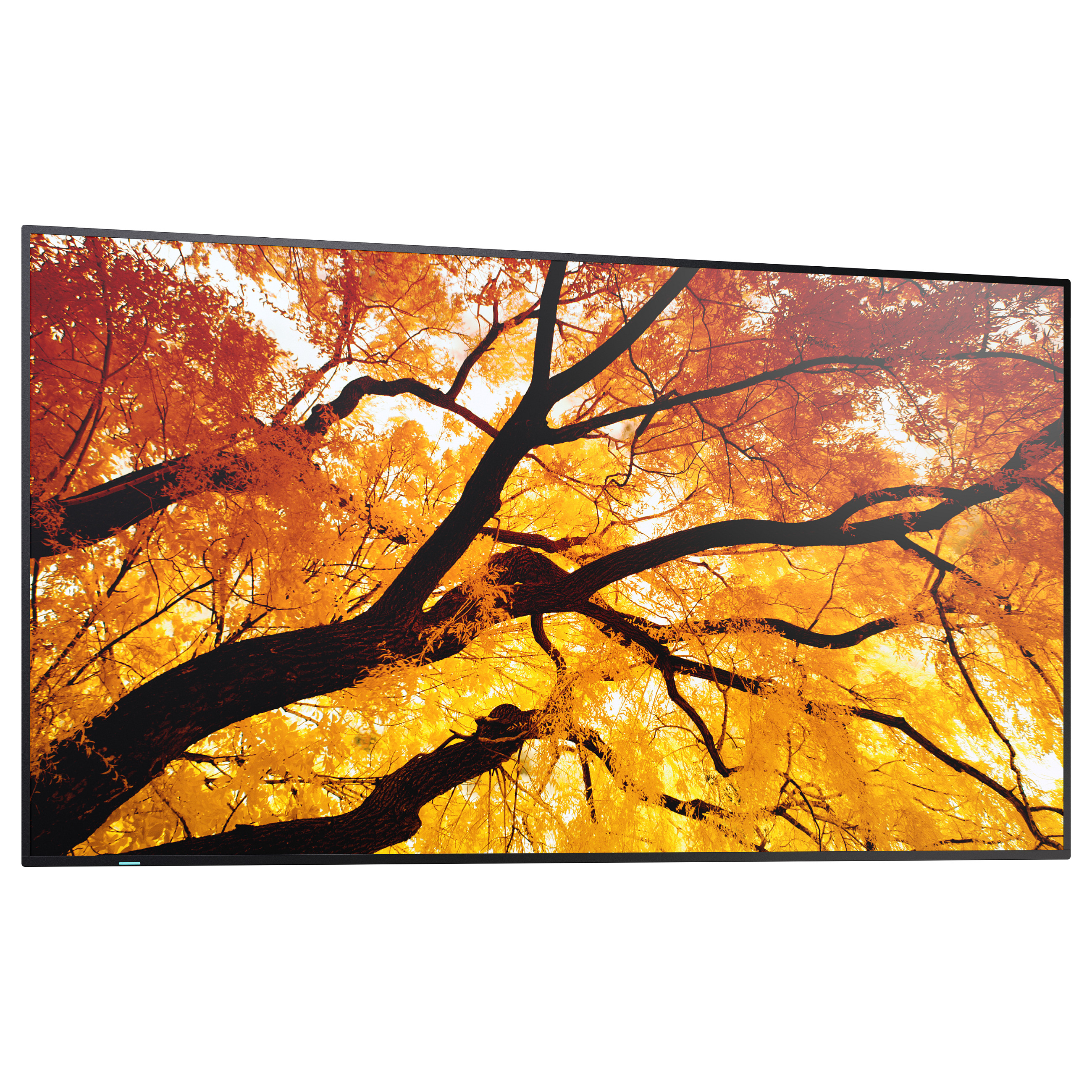 Profesionalni zaslon SHARP/NEC MultiSync M982 98" 4K UHD-2