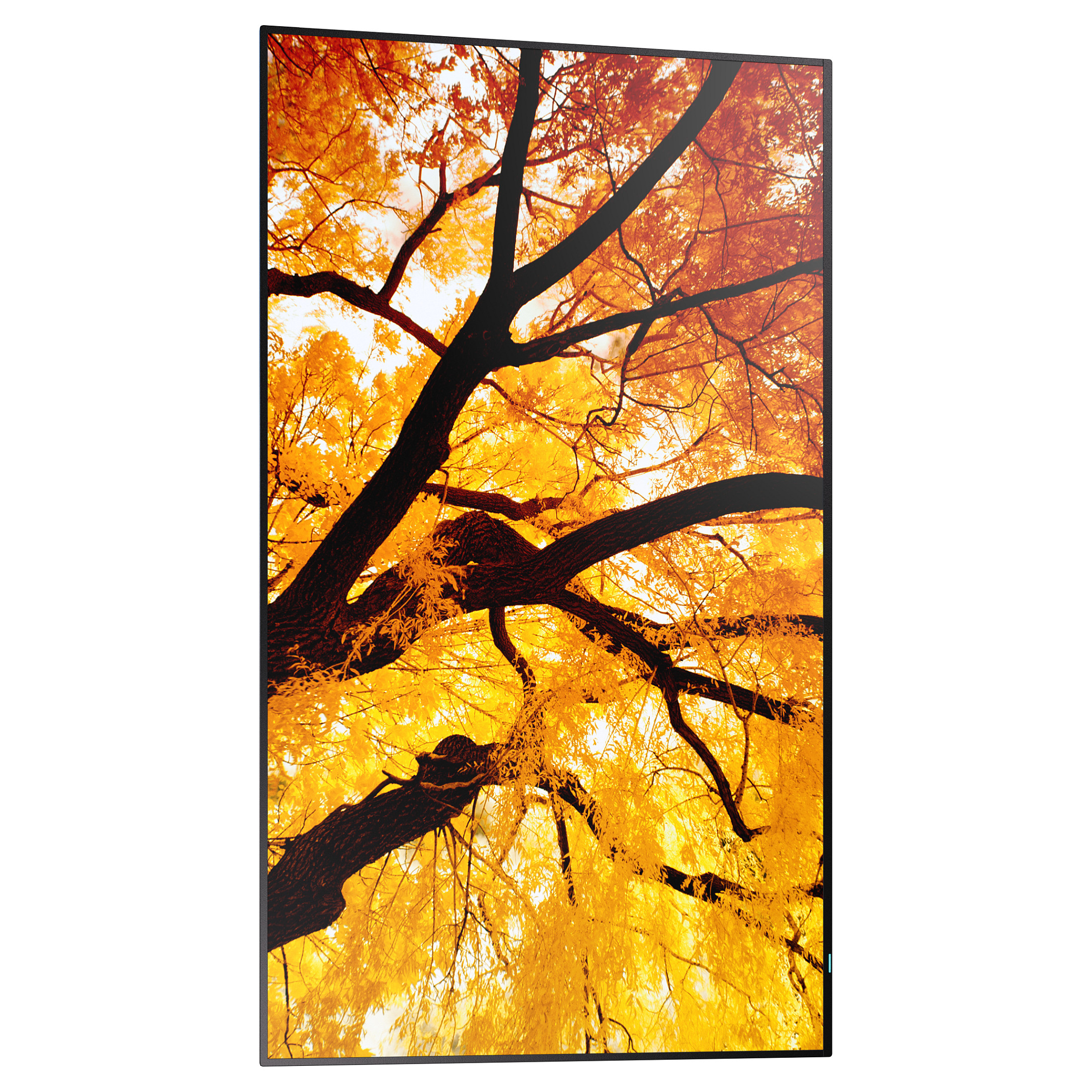 Profesionalni zaslon SHARP/NEC MultiSync M982 98" 4K UHD-3