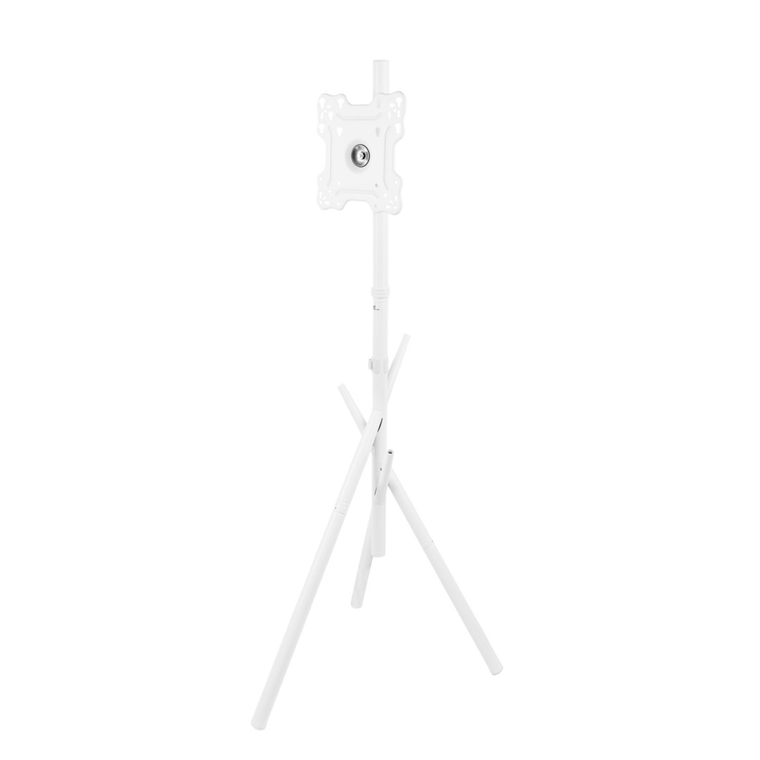 Maclean TV Floor Stand/Mount, 27–55", max. VESA 200x200, max. 60 kg, MC-181 W-7