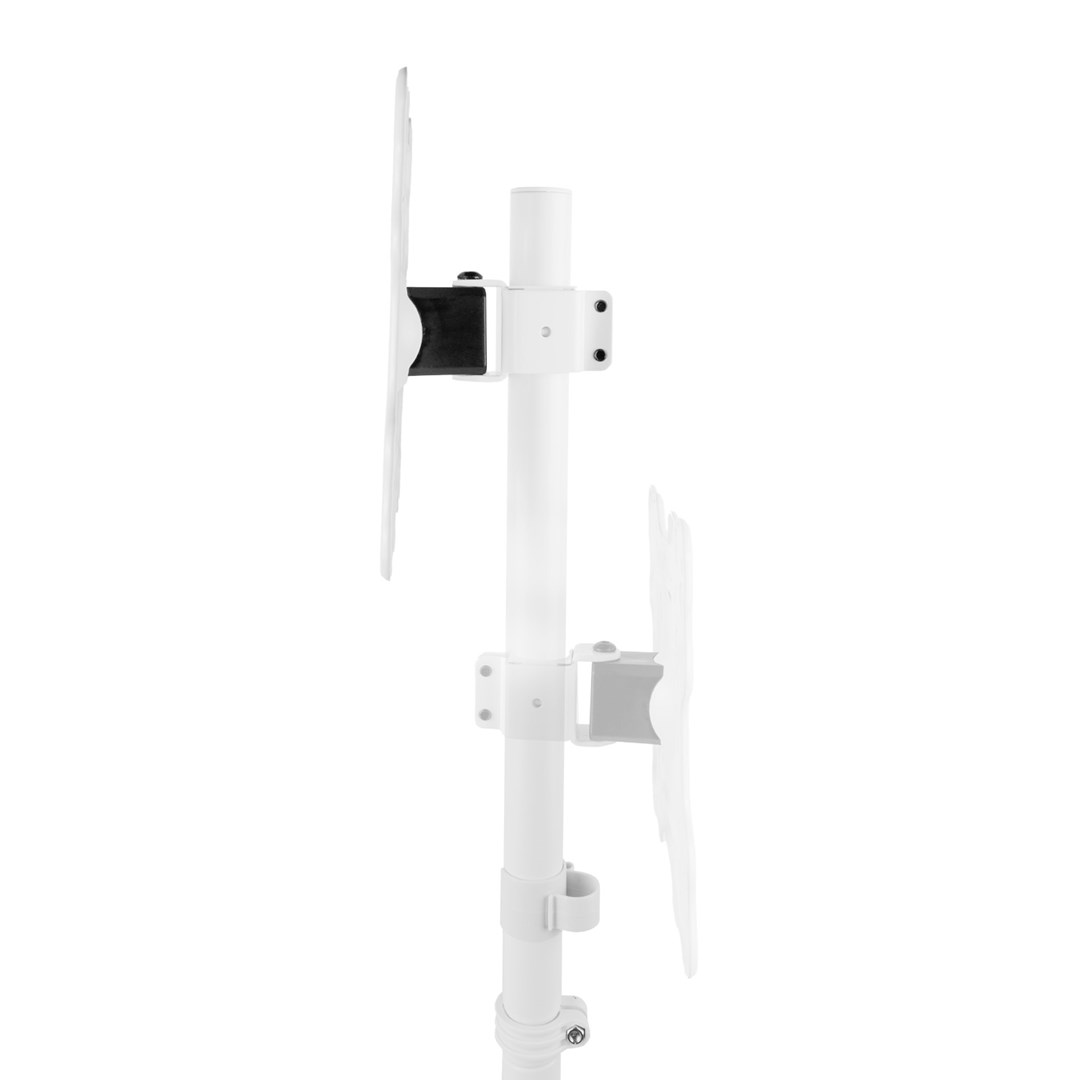Maclean TV Floor Stand/Mount, 27–55", max. VESA 200x200, max. 60 kg, MC-181 W-12
