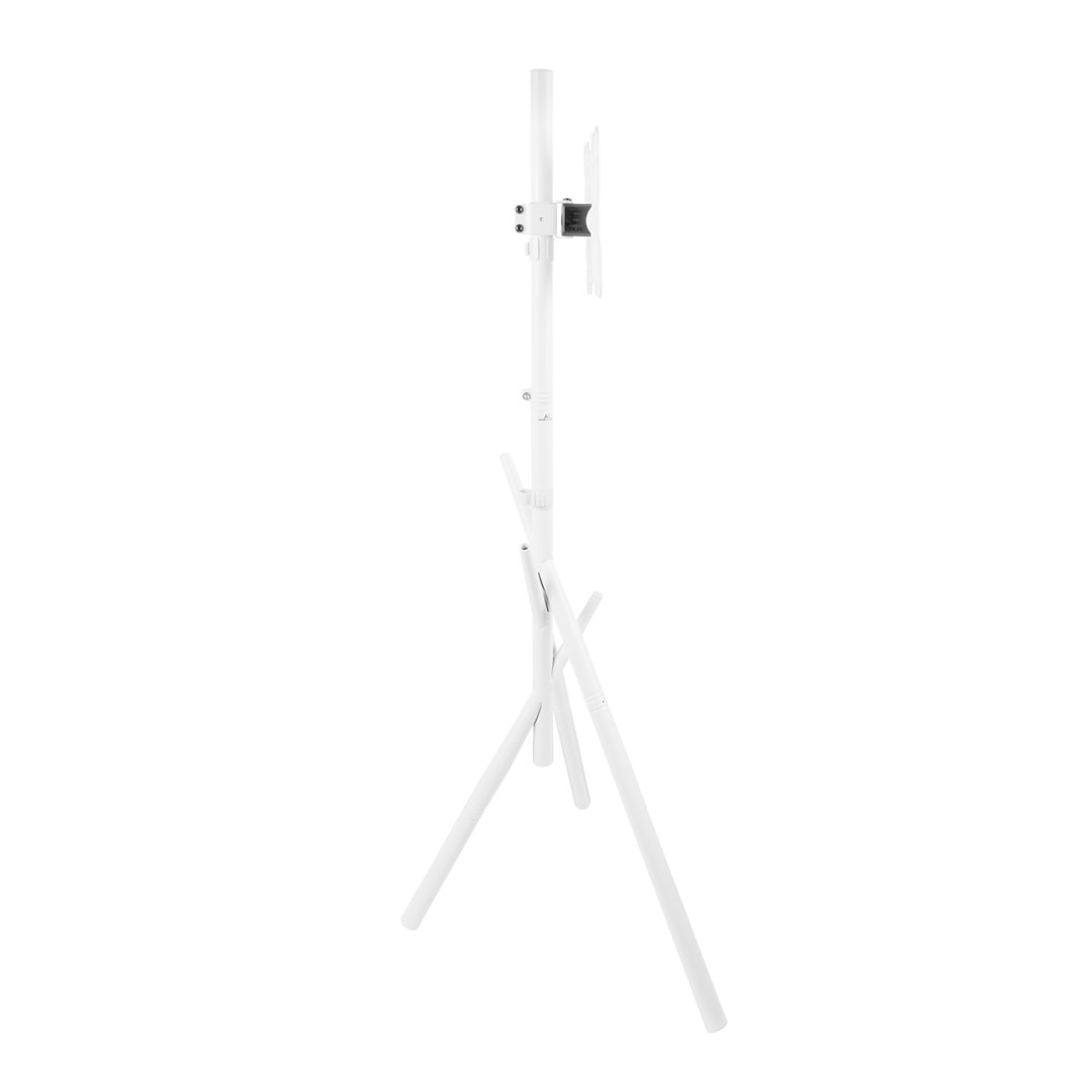 Maclean TV Floor Stand/Mount, 27–55", max. VESA 200x200, max. 60 kg, MC-181 W-11