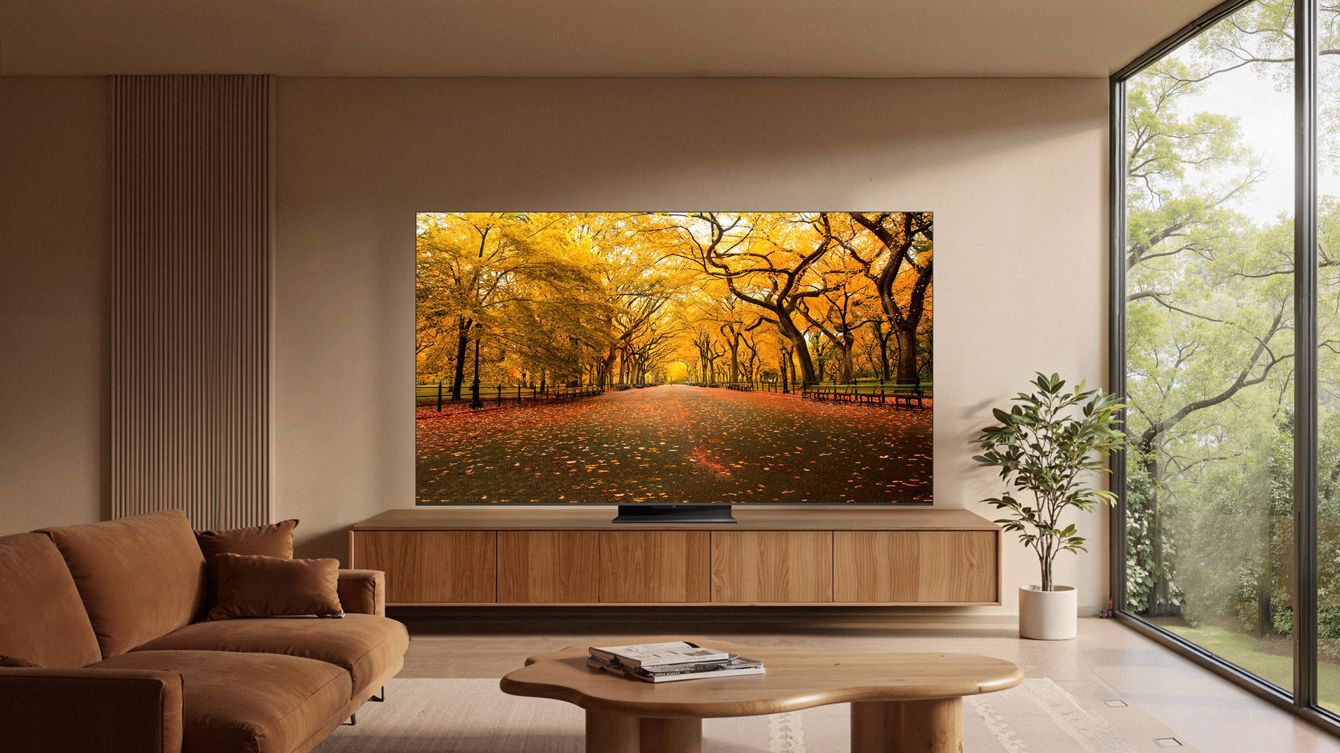 TCL C8L 65C8L TV 165.1 cm (65") 4K Ultra HD Smart TV Wi-Fi Black 6000 cd/m²-2