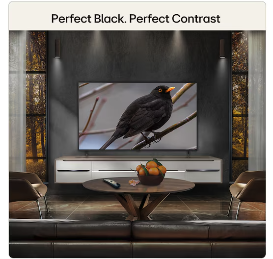 TV LG OLED55B6ELC OLED 55" (139 cm, 4K UHD, 120 Hz, Dolby Vision, webOS Smart TV, DVB-C/T2/S2)-9
