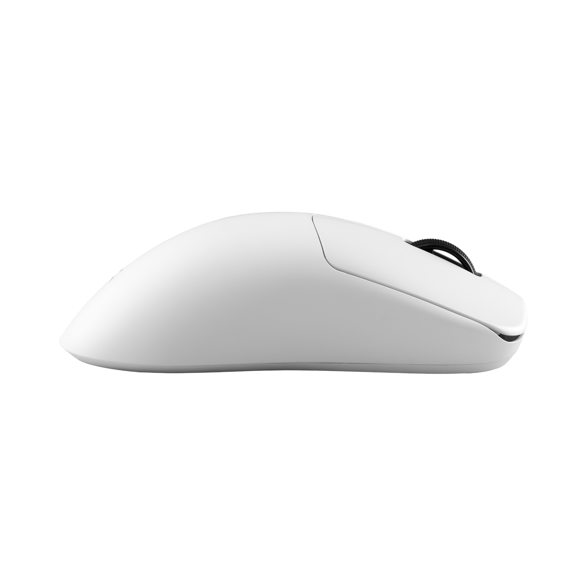 White Shark PL MOUSE WGM-9014 POMPEY - White-5