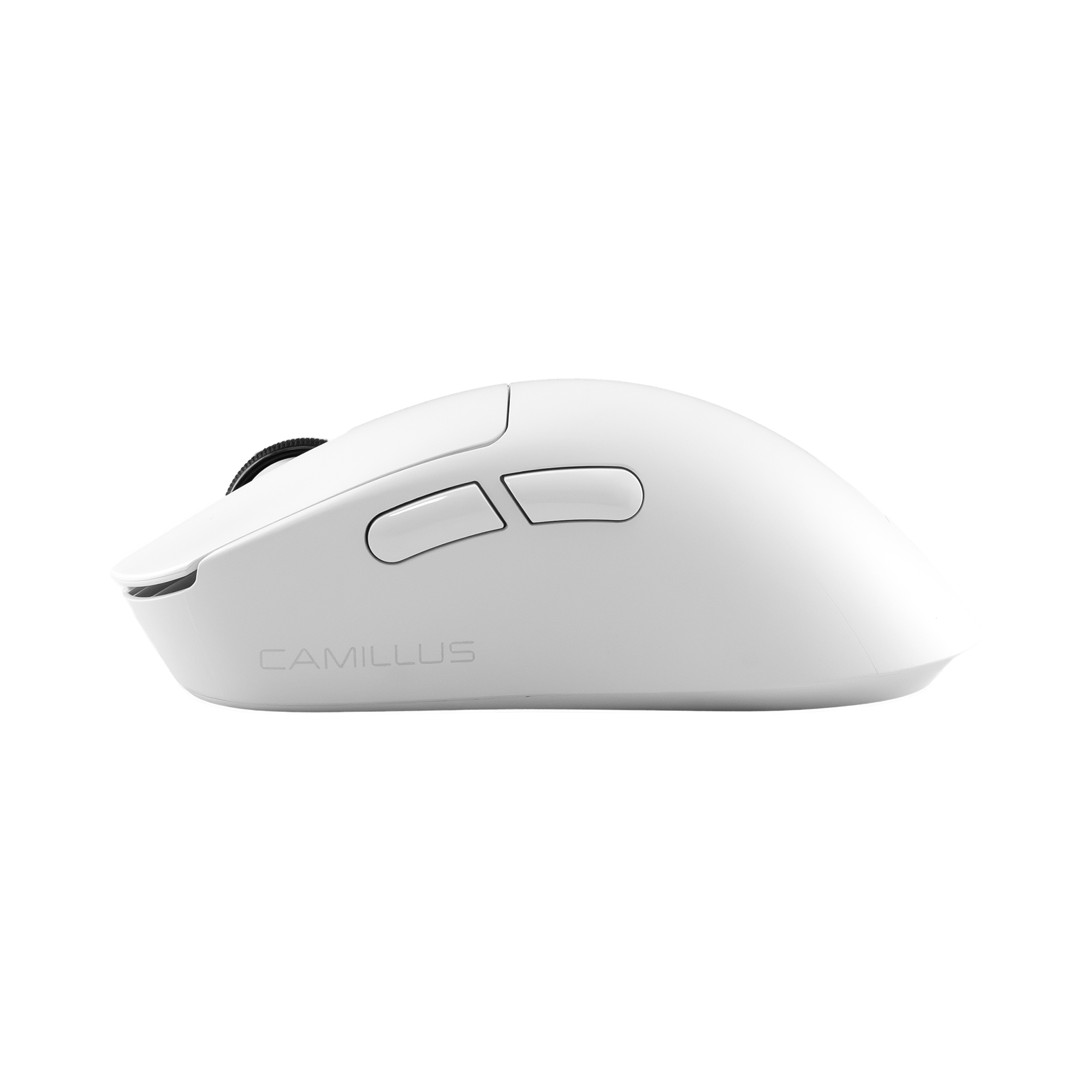 White Shark PL MOUSE WGM-9013 CAMILLUS - White-3