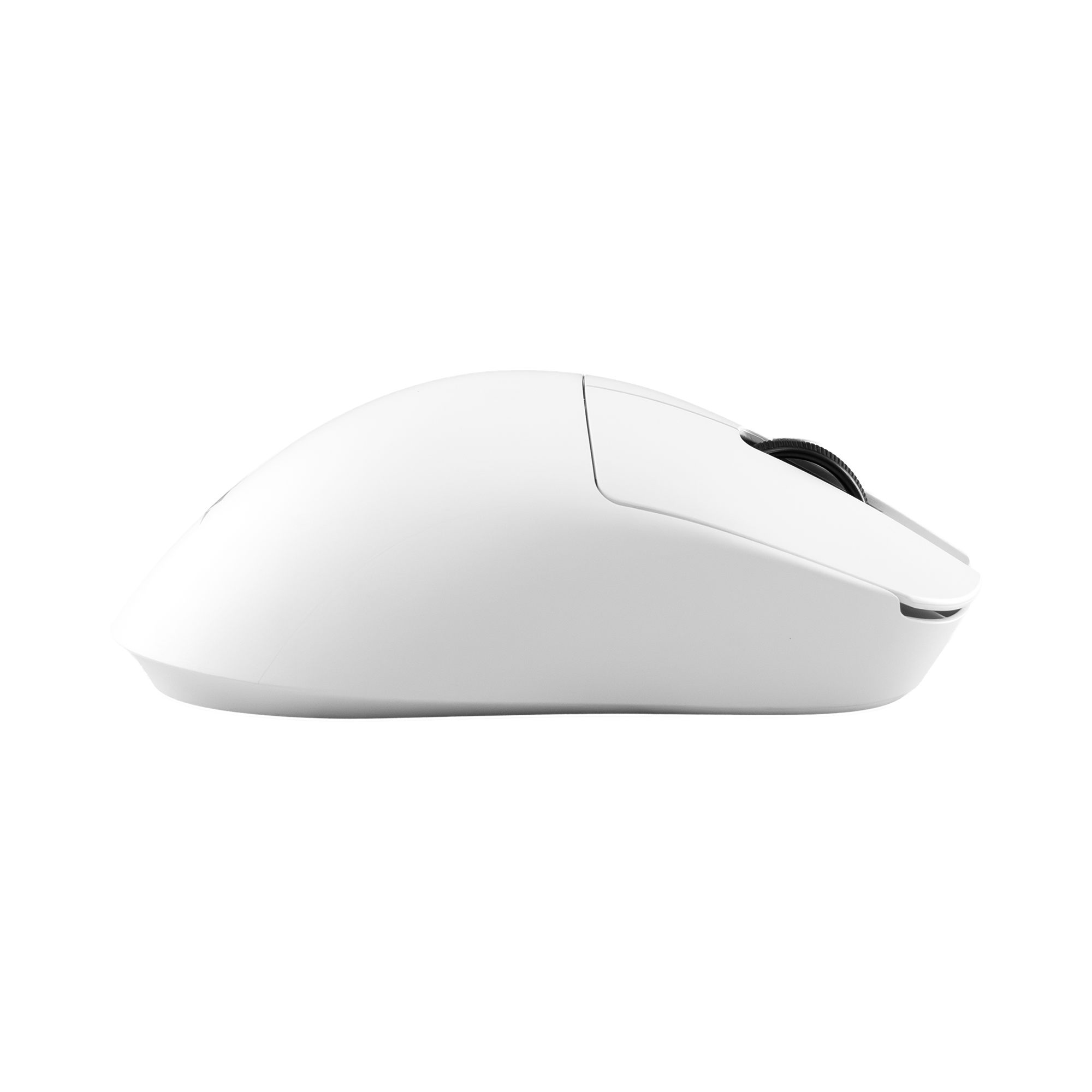 White Shark PL MOUSE WGM-9013 CAMILLUS - White-4