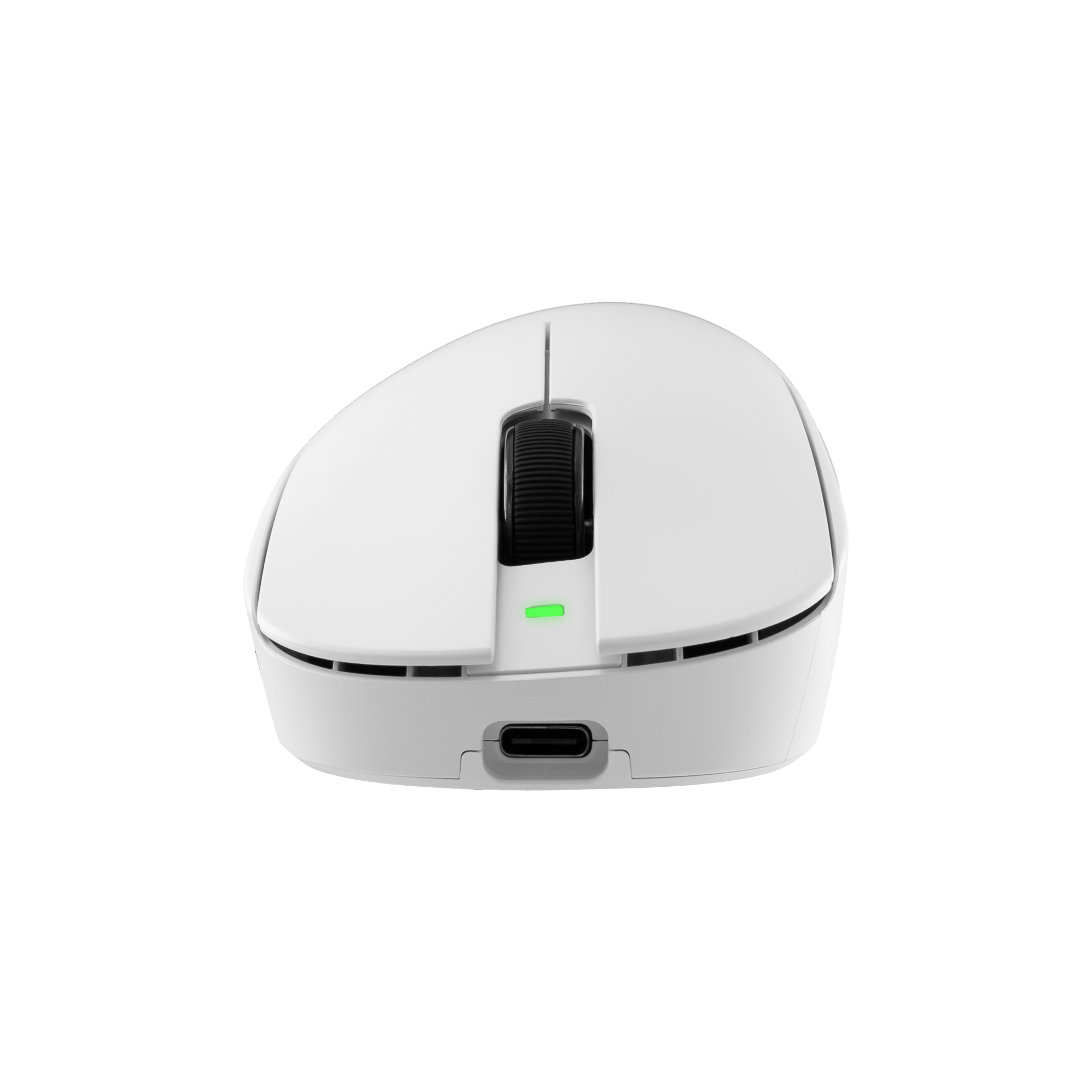 White Shark PL MOUSE WGM-9013 CAMILLUS - White-5