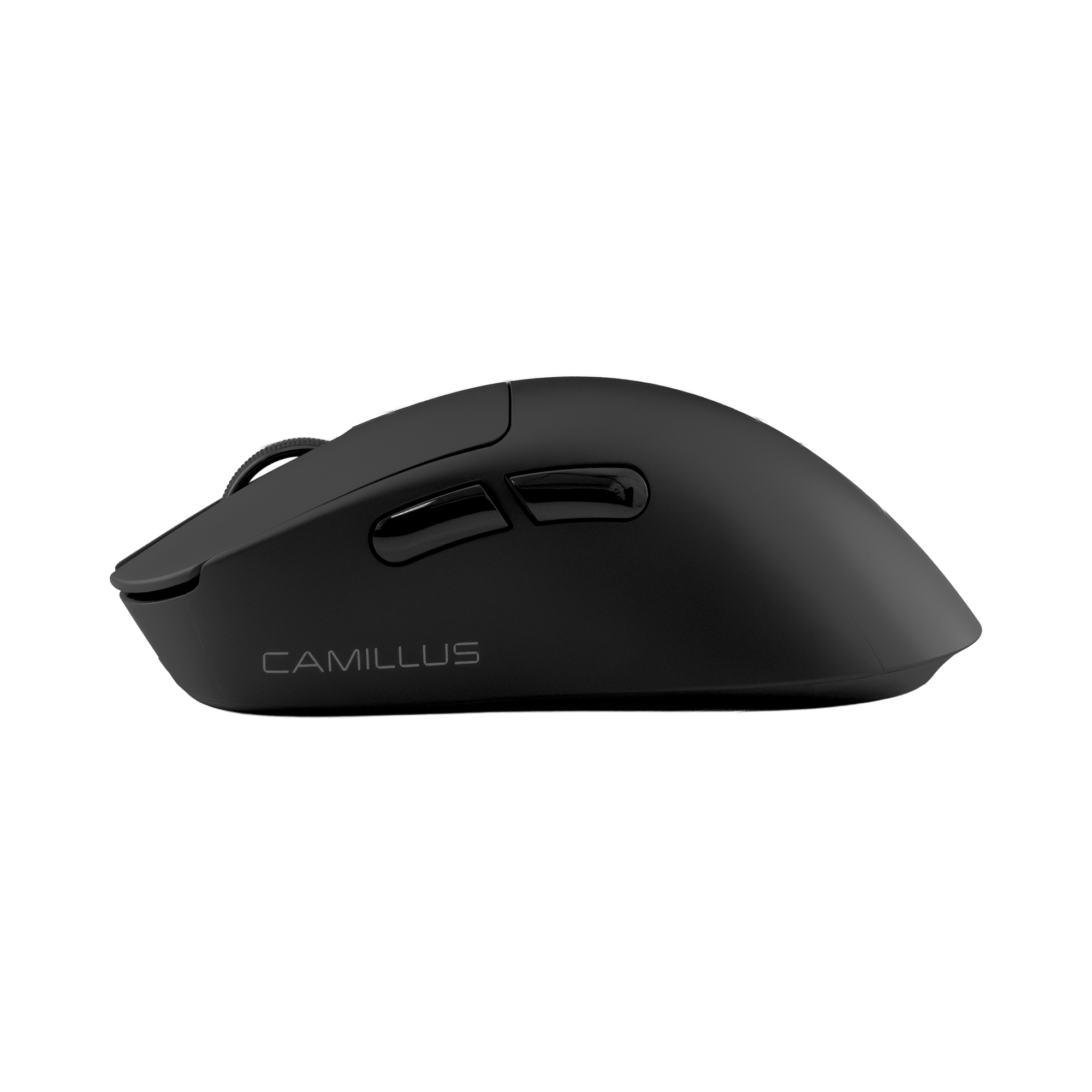 White Shark PL MOUSE WGM-9013 CAMILLUS - Black-2