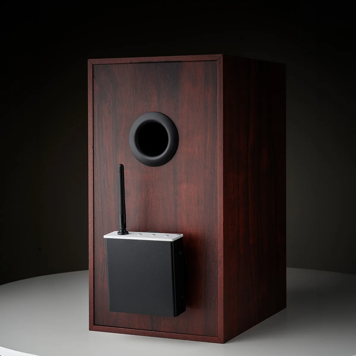 Plug-in streaming pojačalo PRO-JECT Wireless Box E Black-3