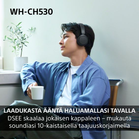 Bežične on-ear slušalice Sony WH-CH530, Black-2