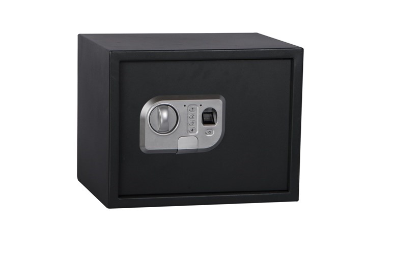 SAFE SP-25ELG 350X250X250