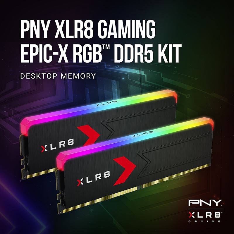 PNY MD32GK2D5600036XRGB memory module 32 GB 2 x 16 GB DDR5 288-pin DIMM-3